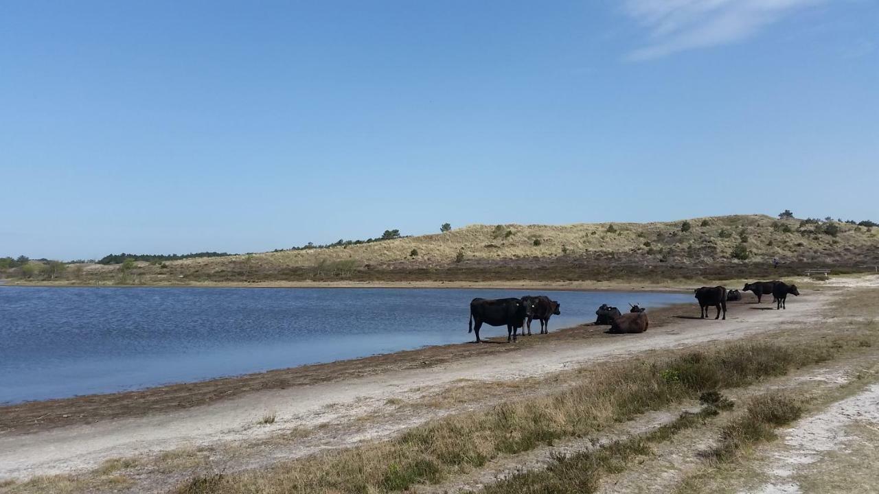 Vakantiehuis Duin Bos En Zee Schoorl Zewnętrze zdjęcie